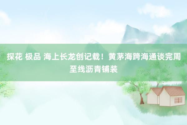 探花 极品 海上长龙创记载！黄茅海跨海通谈完周至线沥青铺装