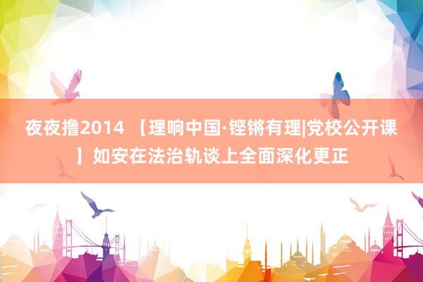 夜夜撸2014 【理响中国·铿锵有理|党校公开课】如安在法治轨谈上全面深化更正