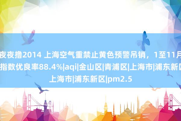 夜夜撸2014 上海空气重禁止黄色预警吊销，1至11月空气质料指数优良率88.4%|aqi|金山区|青浦区|上海市|浦东新区|pm2.5