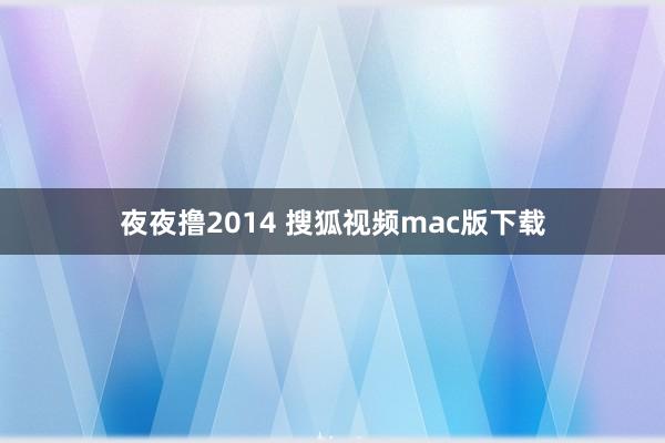夜夜撸2014 搜狐视频mac版下载