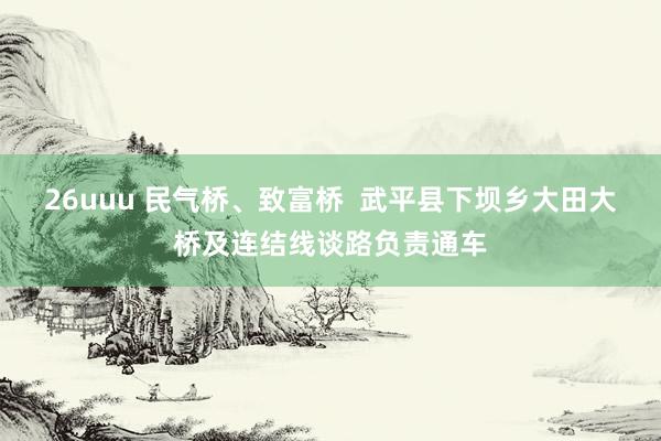 26uuu 民气桥、致富桥  武平县下坝乡大田大桥及连结线谈路负责通车