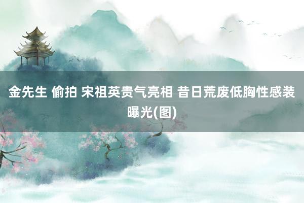 金先生 偷拍 宋祖英贵气亮相 昔日荒废低胸性感装曝光(图)