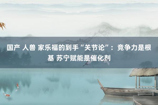 国产 人兽 家乐福的到手“关节论”：竞争力是根基 苏宁赋能是催化剂