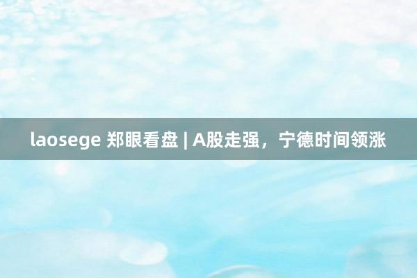 laosege 郑眼看盘 | A股走强，宁德时间领涨