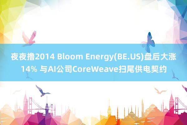夜夜撸2014 Bloom Energy(BE.US)盘后大涨14% 与AI公司CoreWeave扫尾供电契约