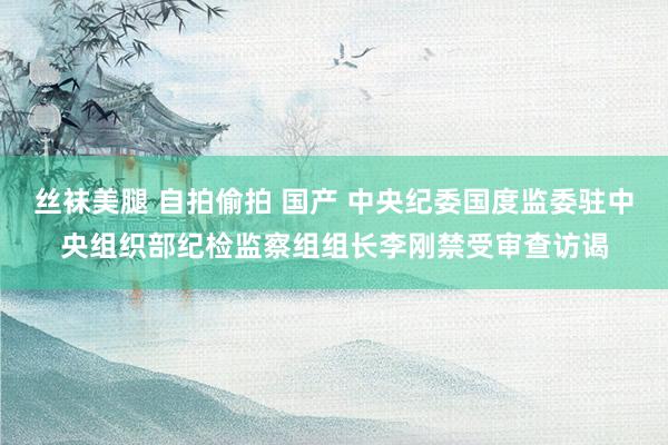 丝袜美腿 自拍偷拍 国产 中央纪委国度监委驻中央组织部纪检监察组组长李刚禁受审查访谒
