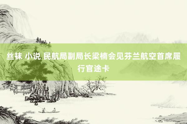 丝袜 小说 民航局副局长梁楠会见芬兰航空首席履行官途卡