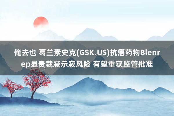 俺去也 葛兰素史克(GSK.US)抗癌药物Blenrep显贵裁减示寂风险 有望重获监管批准