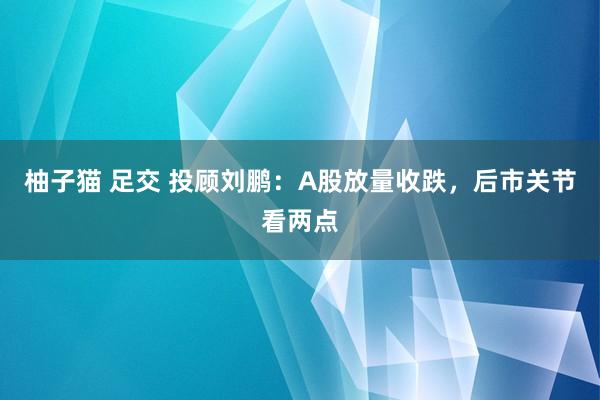 柚子猫 足交 投顾刘鹏：A股放量收跌，后市关节看两点