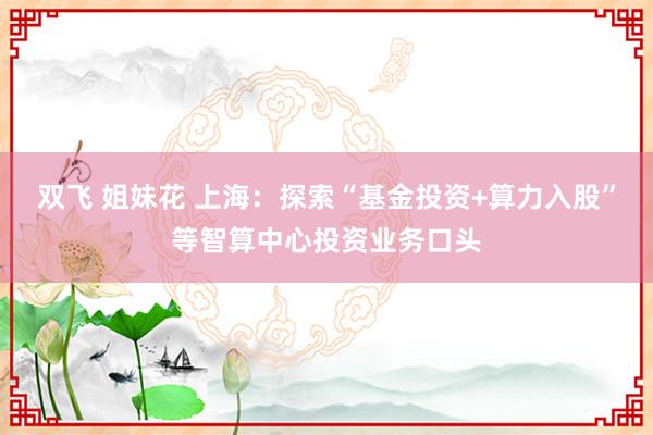 双飞 姐妹花 上海：探索“基金投资+算力入股”等智算中心投资业务口头