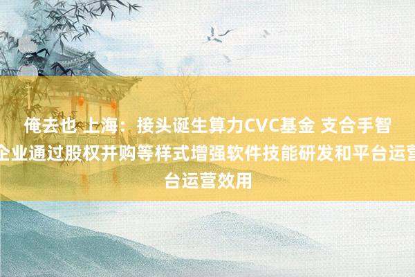 俺去也 上海：接头诞生算力CVC基金 支合手智算云企业通过股权并购等样式增强软件技能研发和平台运营效用
