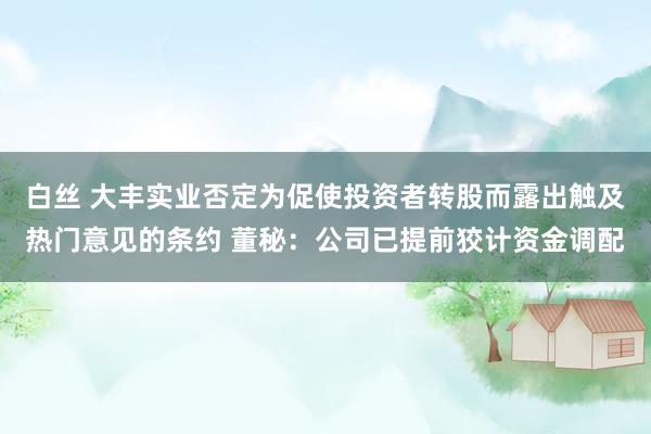 白丝 大丰实业否定为促使投资者转股而露出触及热门意见的条约 董秘：公司已提前狡计资金调配